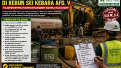 Legalitas BBM Alat Berat di Kebun Sei Kebara Afd. V Perlu Dipertanyakan, Pengawasan Management Regional 1 Pamlco Disorot