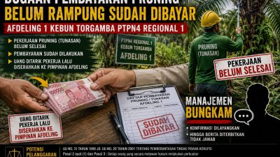 Dugaan Pruning Belum Rampung Sudah Dibayar, Afdeling 1 Kebun Torgamba Disorot — Manajemen PTPN IV Regional 1 Bungkam