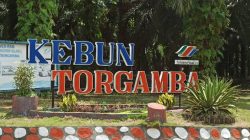 Dugaan Kelalaian Penerapan APD di Kebun Torgamba Disorot, Kecelakaan Kerja Berujung Maut Jadi Sorotan