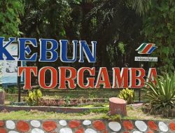 Dugaan Kelalaian Penerapan APD di Kebun Torgamba Disorot, Kecelakaan Kerja Berujung Maut Jadi Sorotan